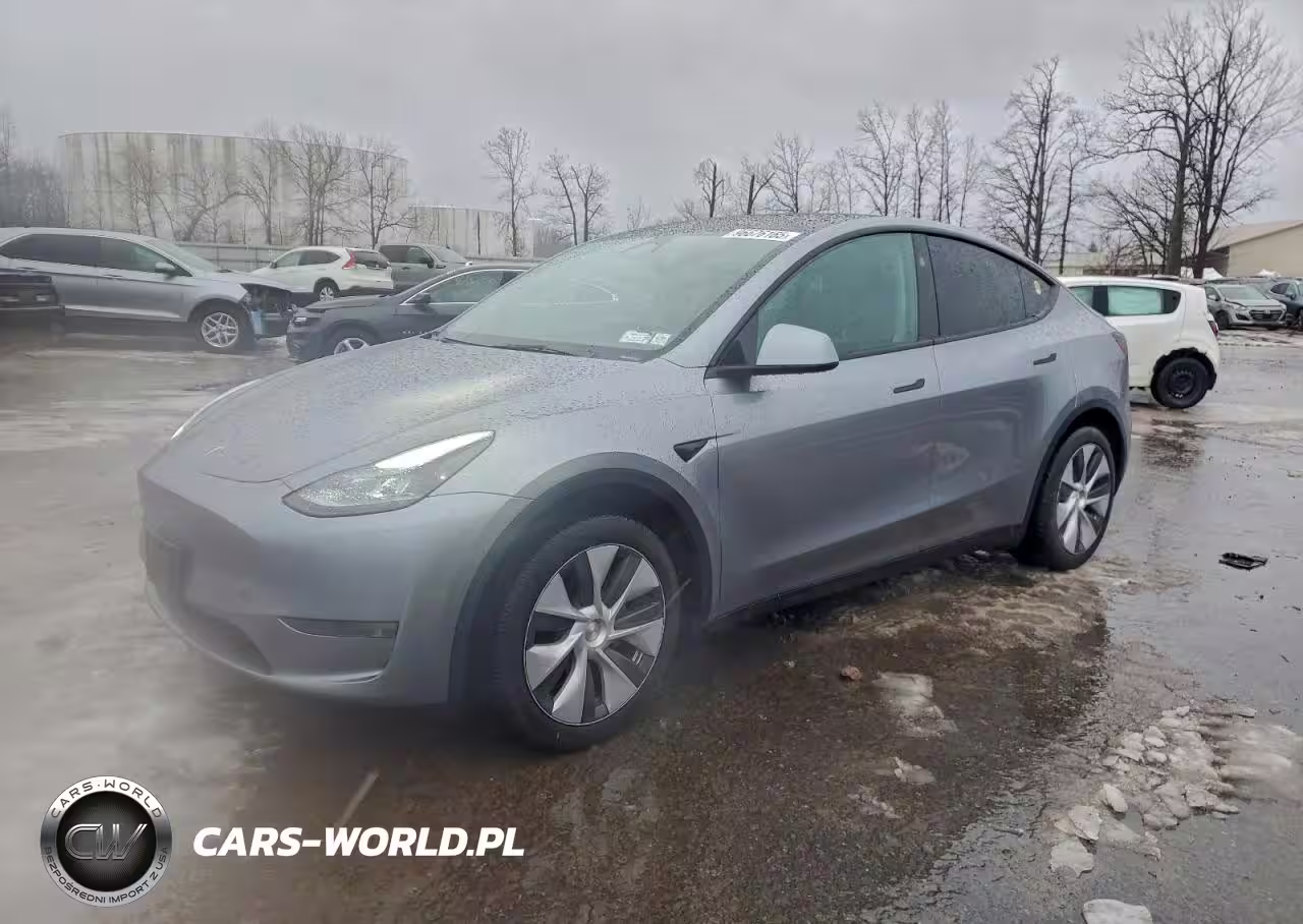 2024 Tesla Model Y