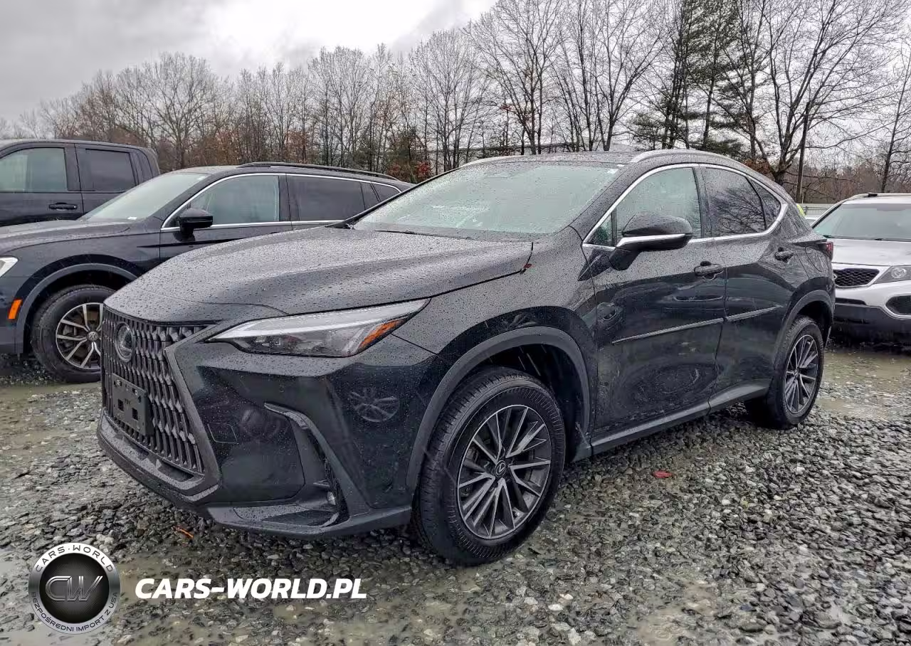 2025 Lexus Nx 250 Premium