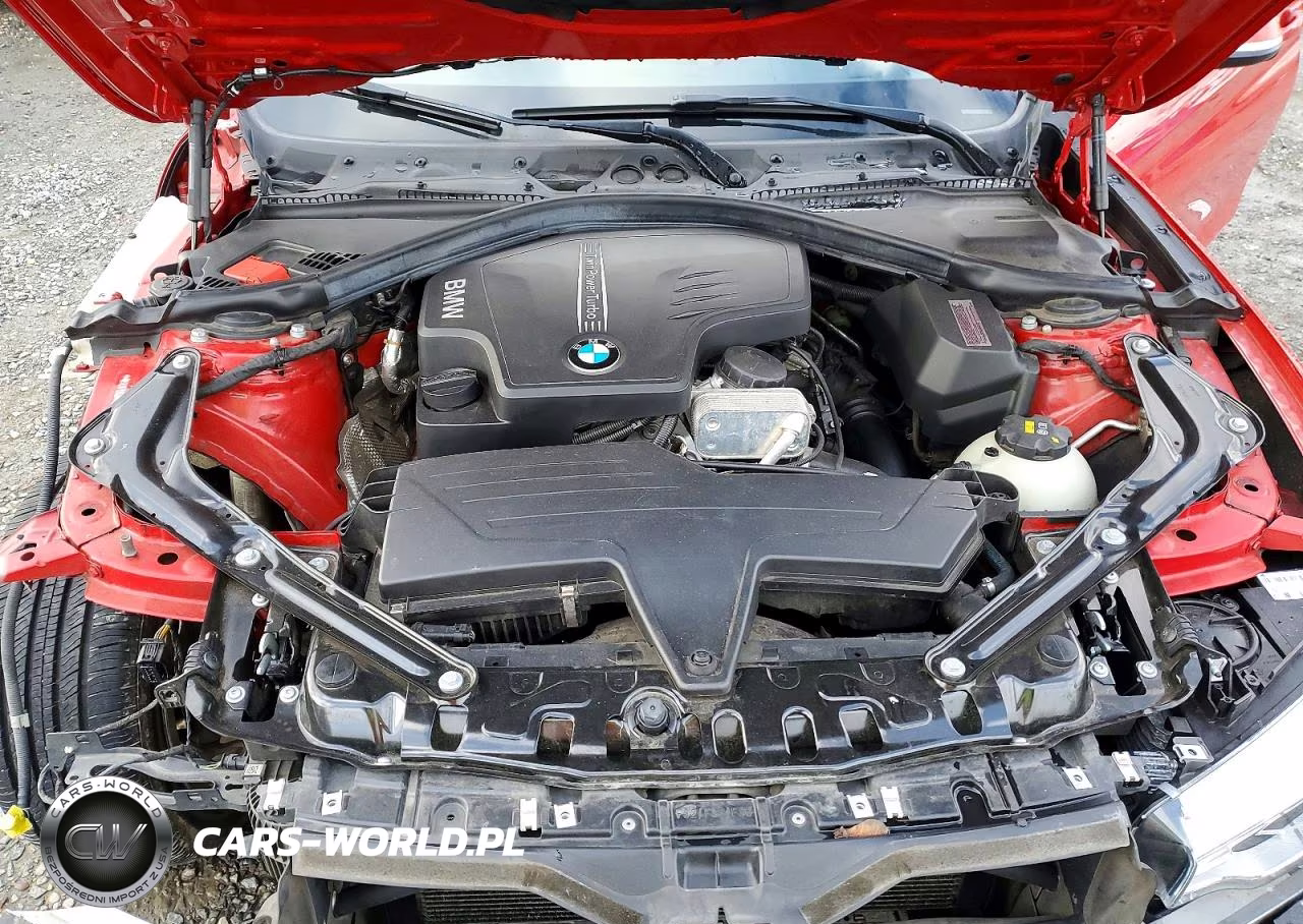 2015 BMW 428 Xi Sulev VIN:WBA3T1C52FP820417 - 11