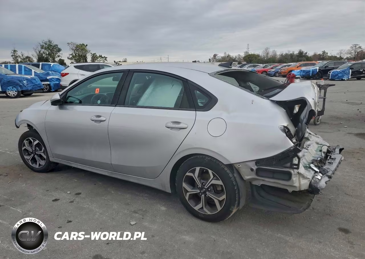 2019 Kia Forte Fe VIN:3KPF24AD2KE026770 - 2