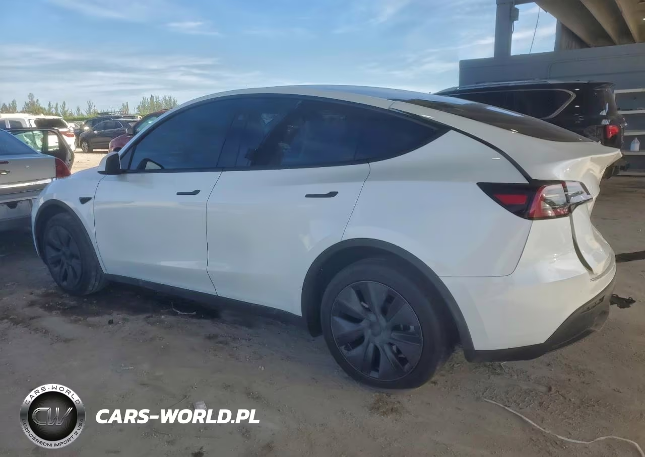 2025 Tesla Model Y VIN:7SAYGDED7SF216131 - 2
