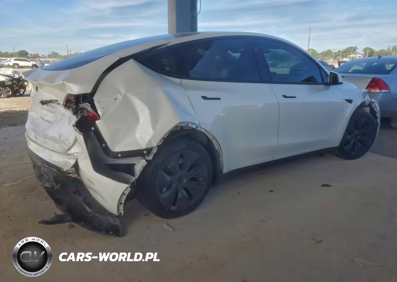 2025 Tesla Model Y VIN:7SAYGDED7SF216131 - 3