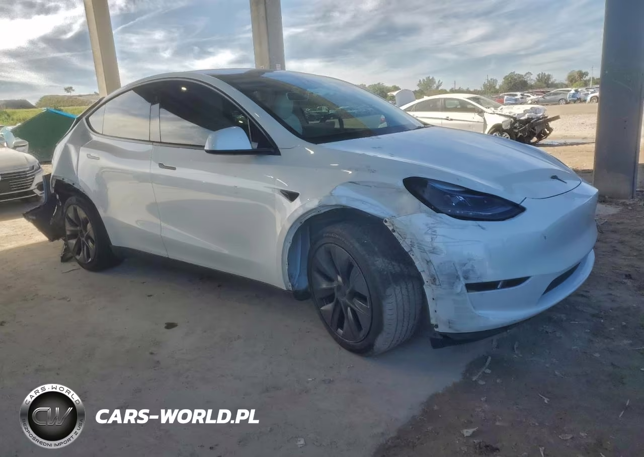 2025 Tesla Model Y VIN:7SAYGDED7SF216131 - 4
