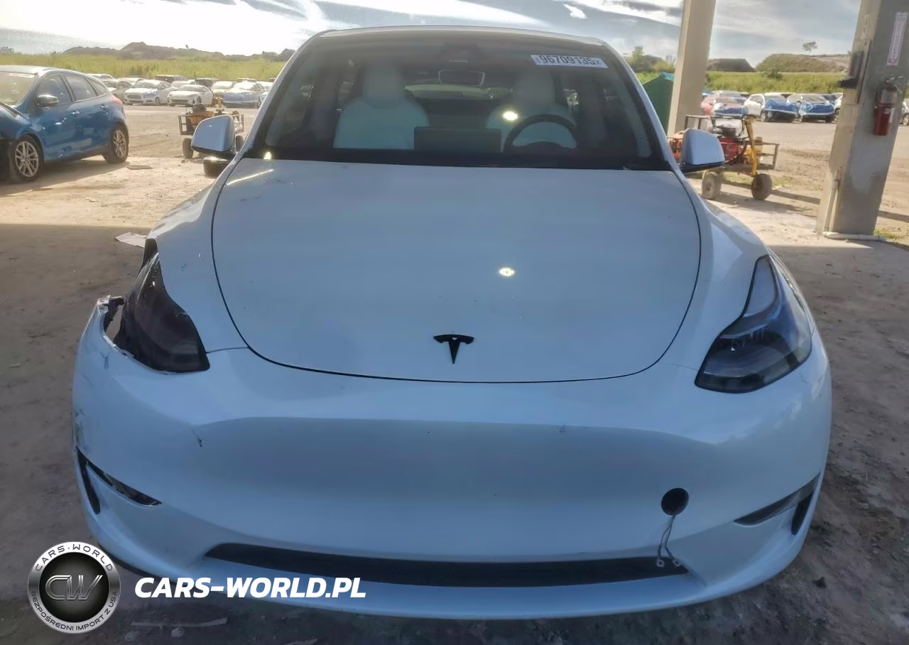 2025 Tesla Model Y VIN:7SAYGDED7SF216131 - 5