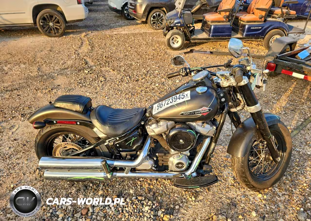 2021 Harley-Davidson Flsl