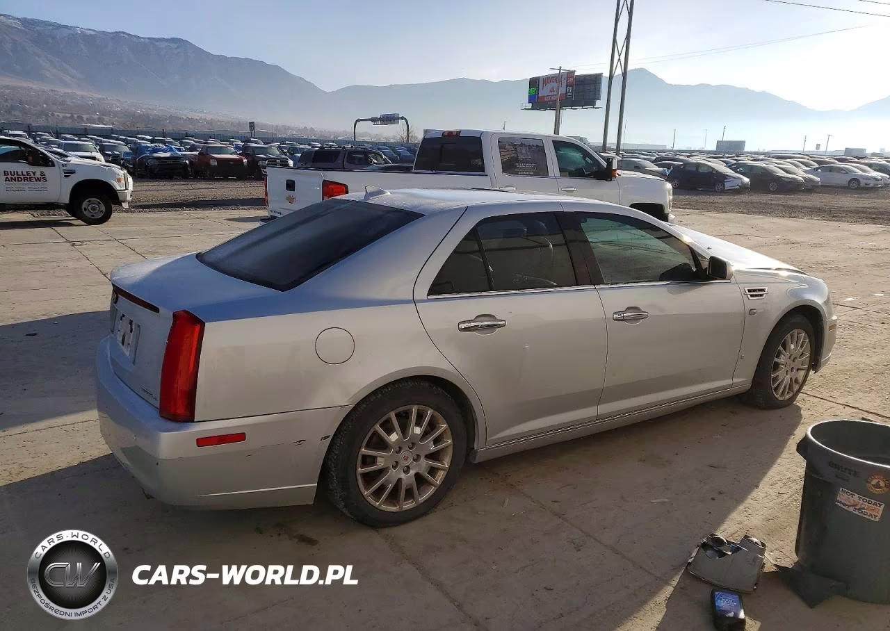 2009 Cadillac Sts VIN:1G6DA67V690138063 - 3