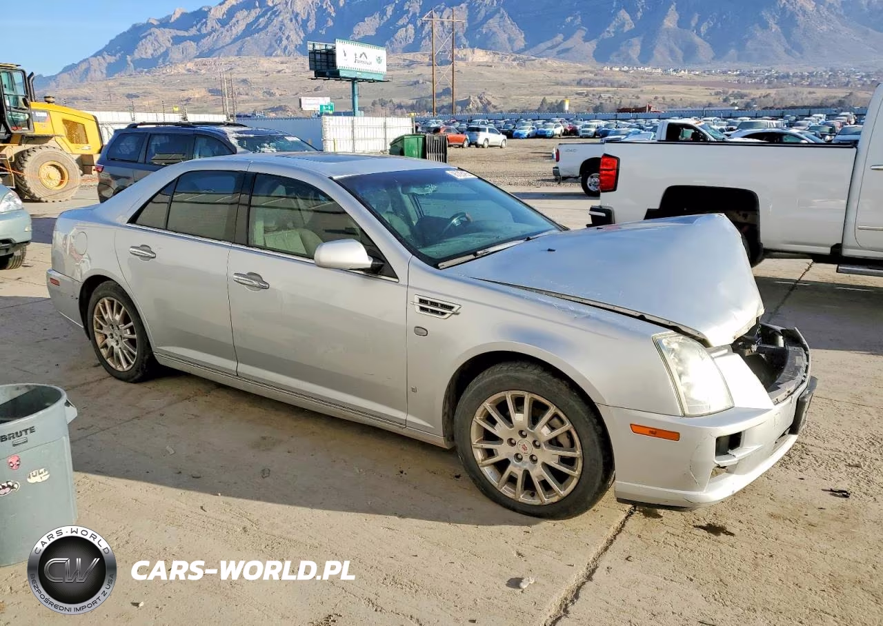 2009 Cadillac Sts VIN:1G6DA67V690138063 - 4