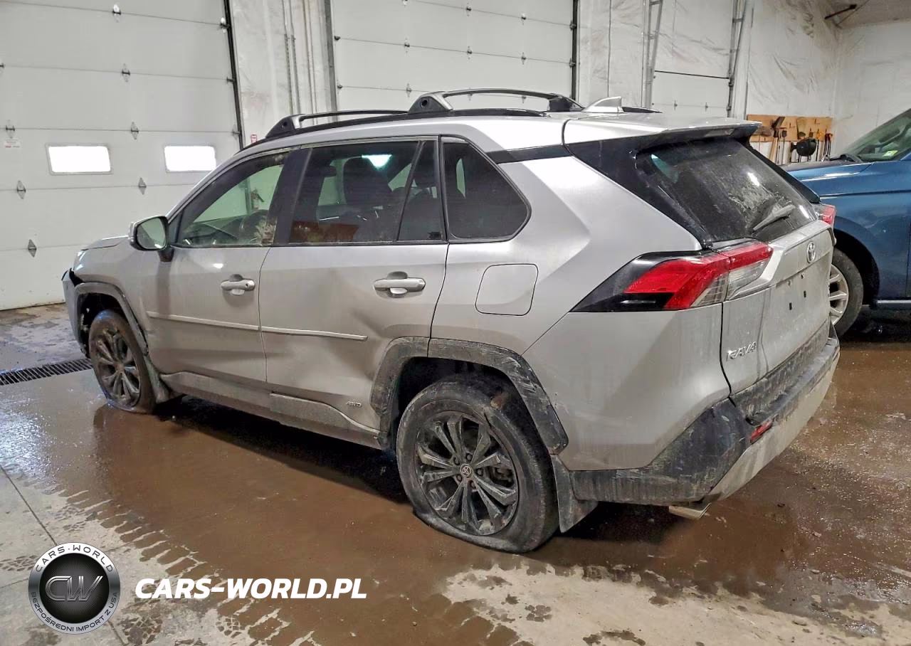 2023 Toyota Rav4 Se VIN:JTM16RFV8PD101655 - 2