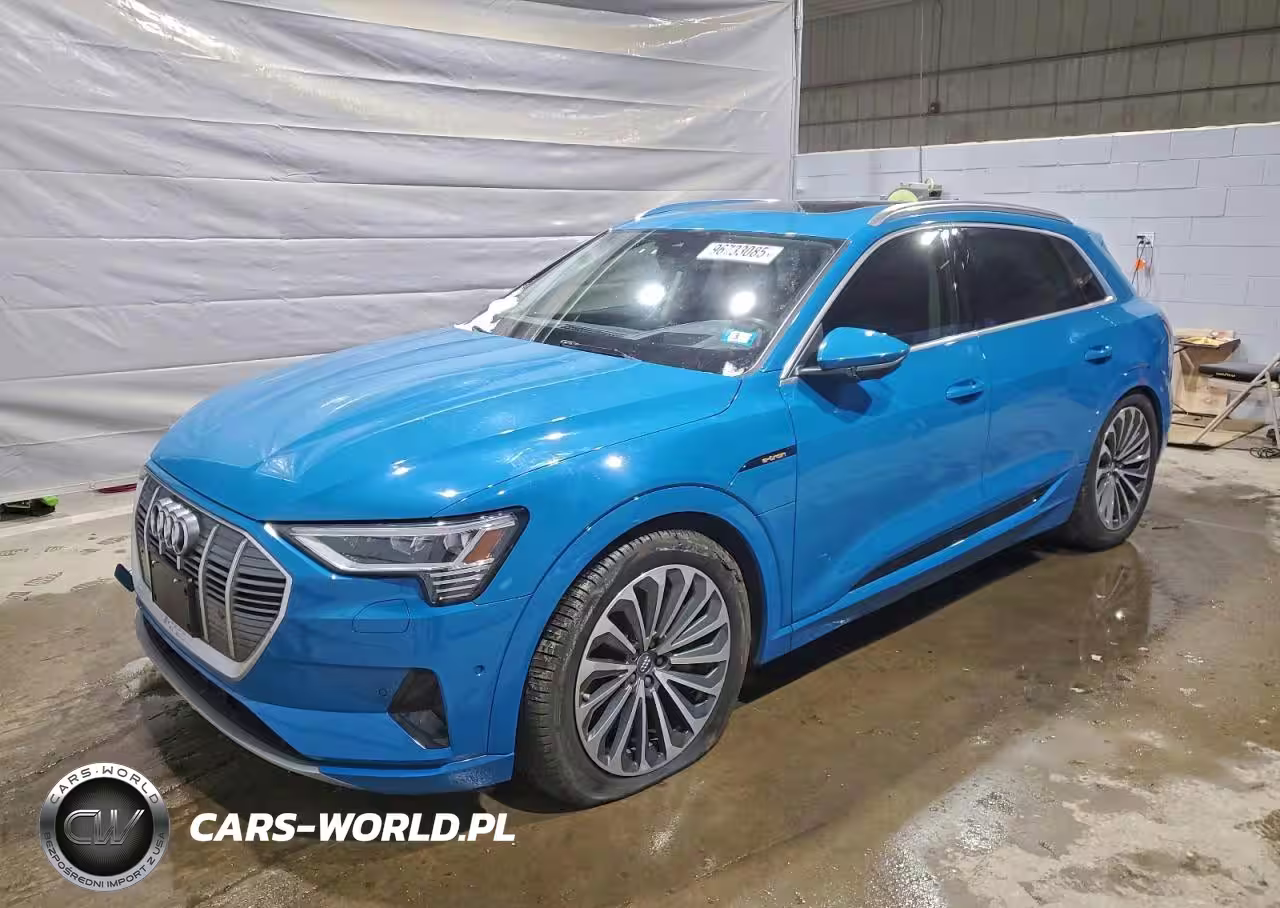 2019 Audi E-Tron Prestige