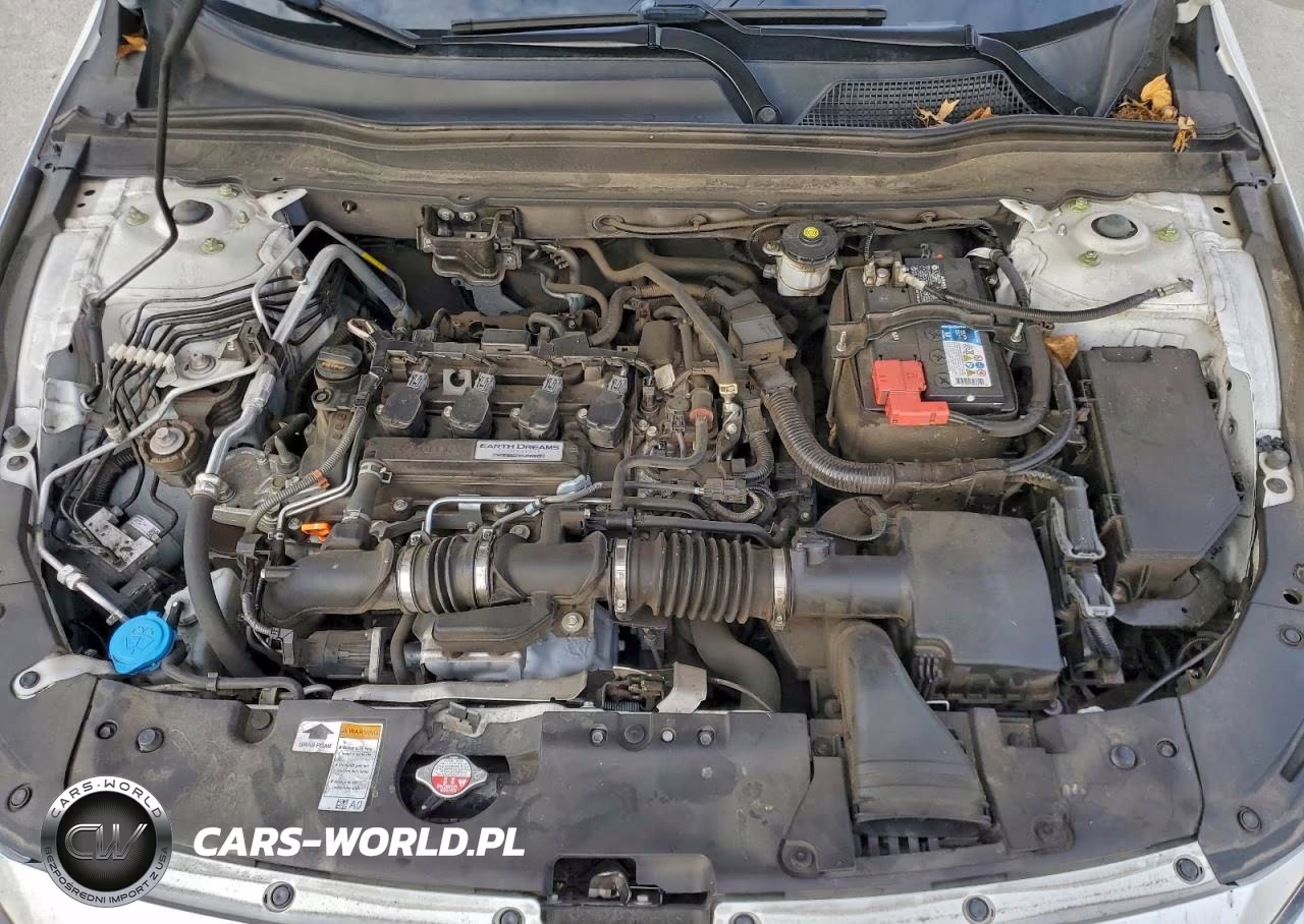 2019 Honda Accord Lx VIN:1HGCV1F1XKA058250 - 11
