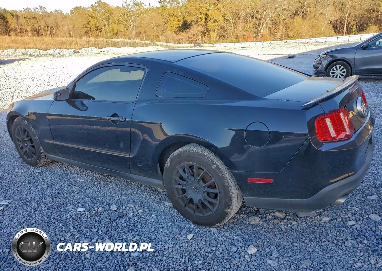 2012 Ford Mustang VIN:1ZVBP8AM0C5265929 - 2