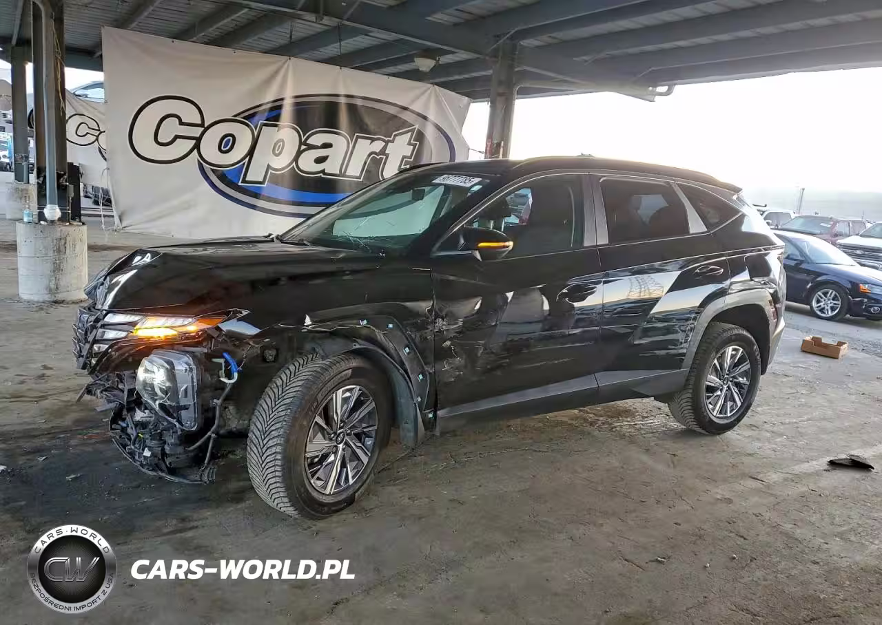 2023 Hyundai Tucson Blue