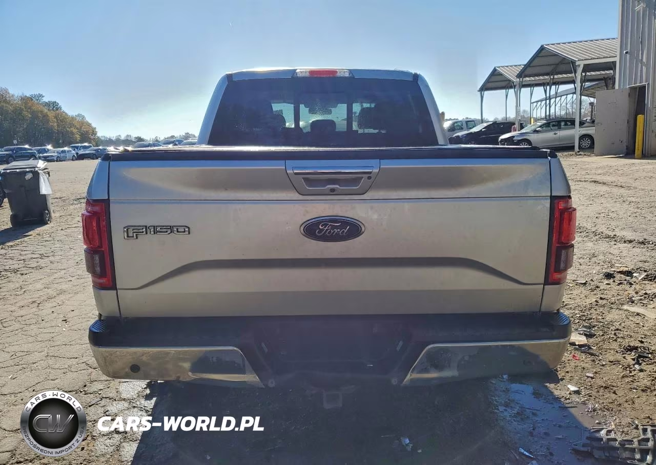 2016 Ford F150 Supercrew VIN:1FTEW1EG1GFA42748 - 6