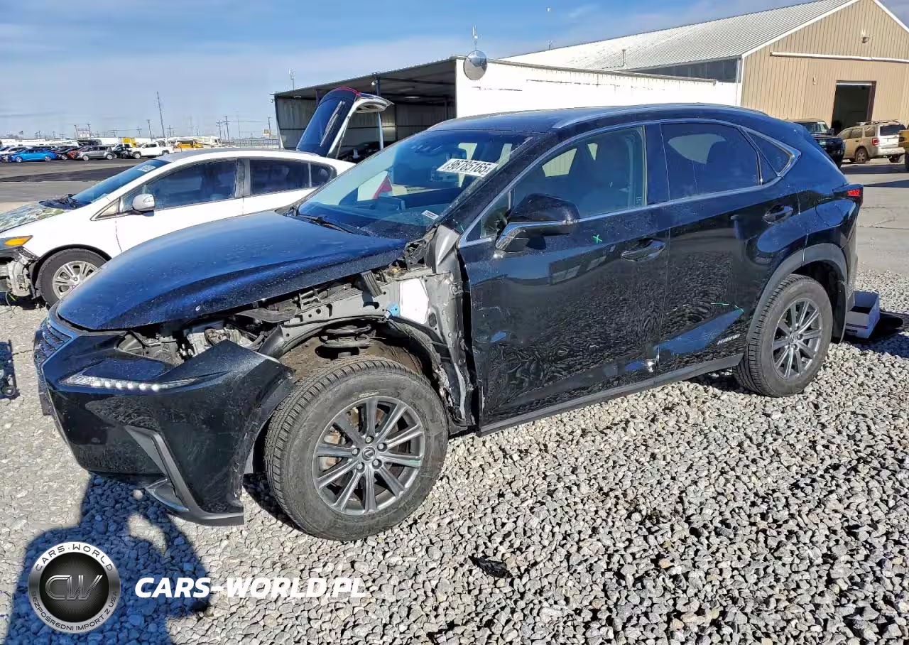 2019 Lexus Nx 300H