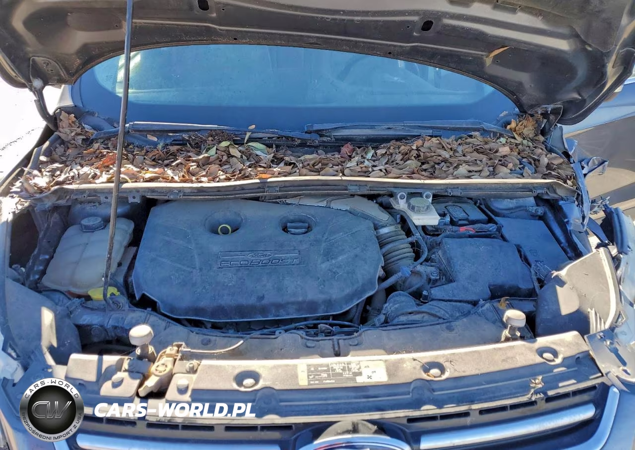 2013 Ford Escape Sel VIN:1FMCU0H93DUA79646 - 12