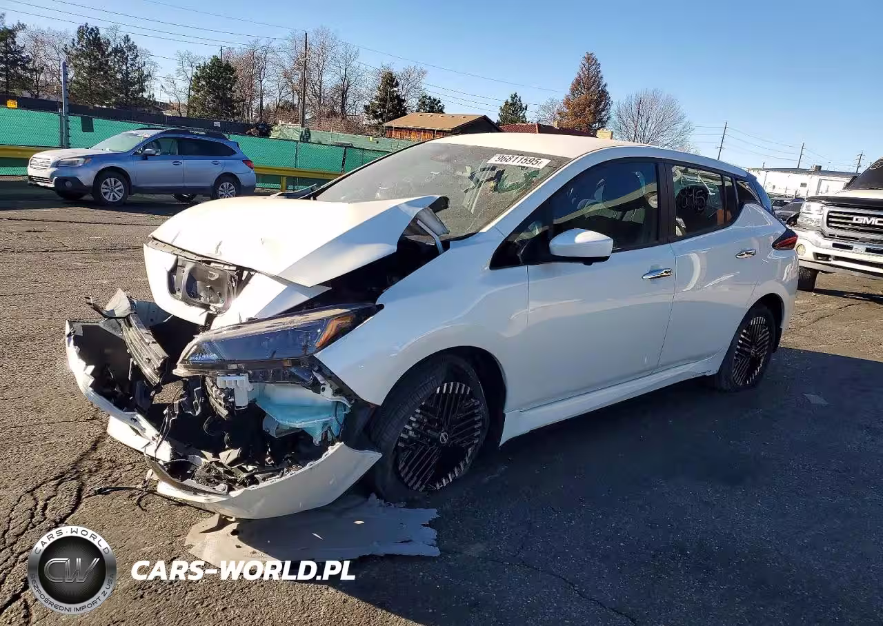 2025 Nissan Leaf Sv Plus