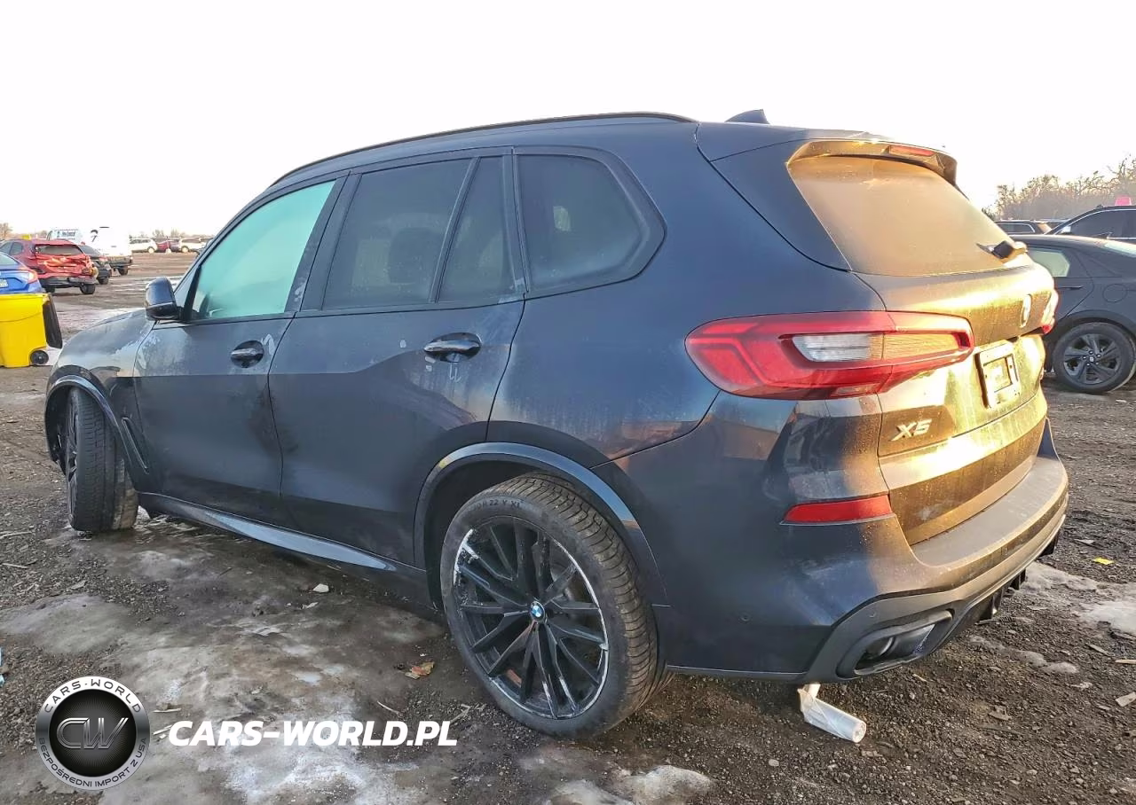 2019 BMW X5 xDrive50I VIN:5UXJU2C5XKLN65951 - 2