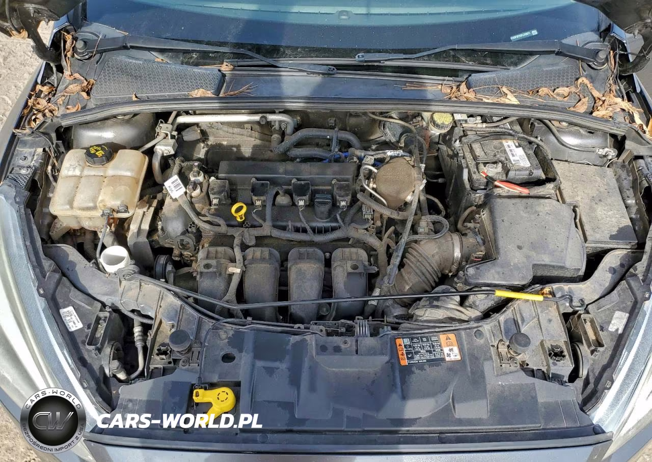 2015 Ford Focus Se VIN:1FADP3F2XFL312671 - 11