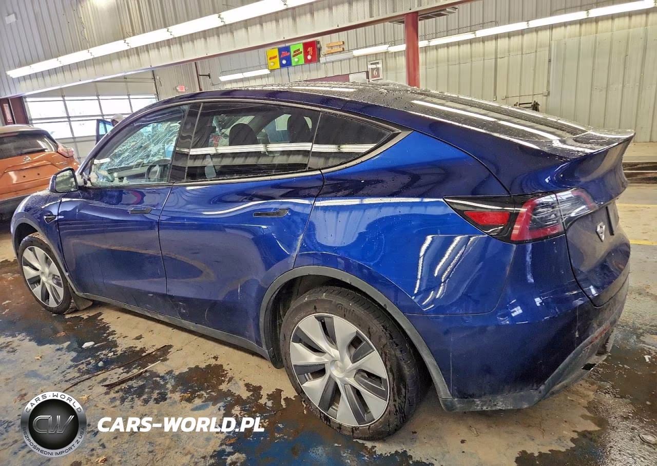 2023 Tesla Model Y VIN:7SAYGDEE7PA174508 - 2