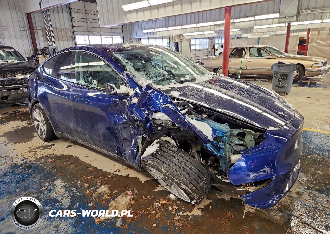 2023 Tesla Model Y VIN:7SAYGDEE7PA174508 - 4