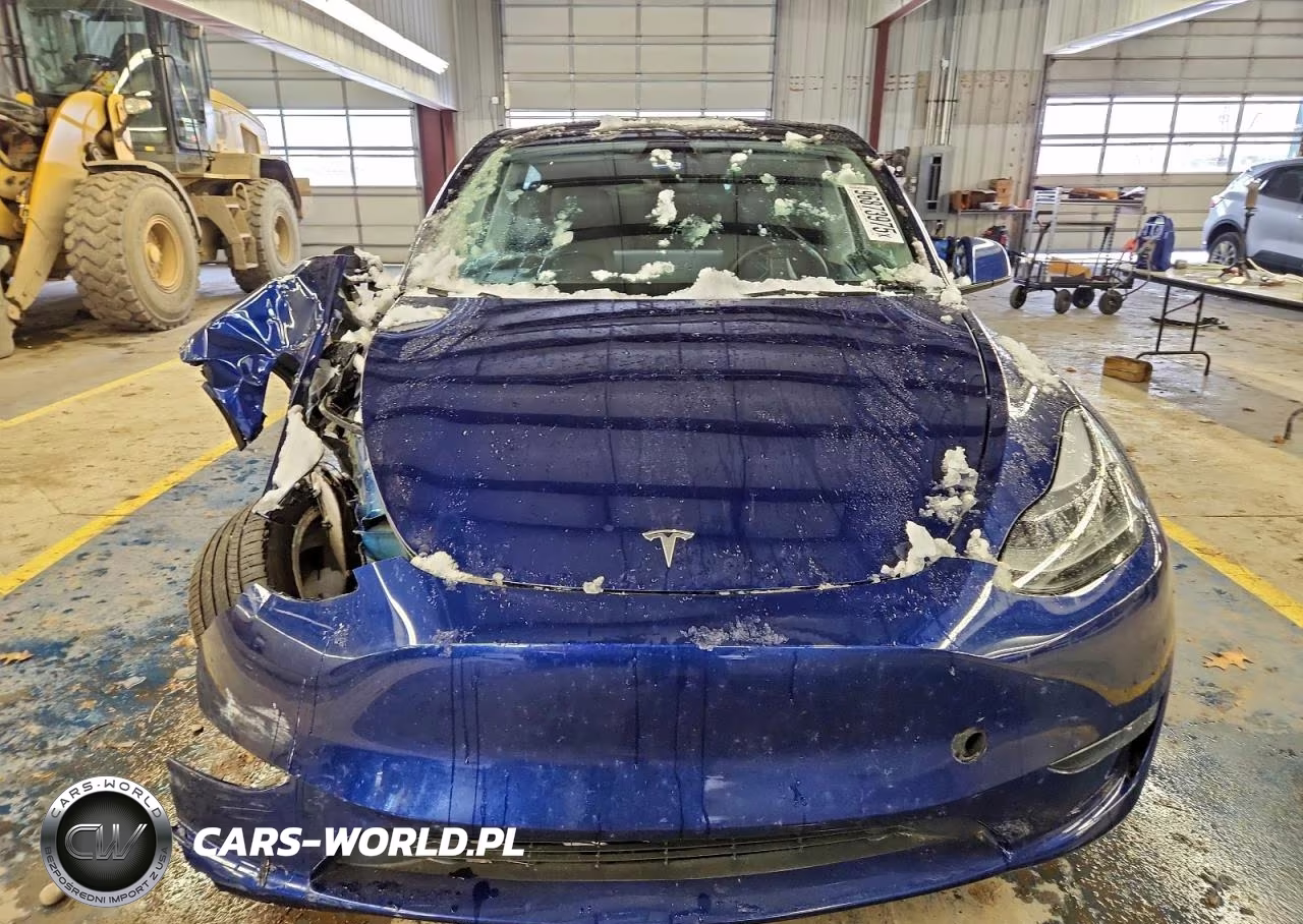 2023 Tesla Model Y VIN:7SAYGDEE7PA174508 - 5