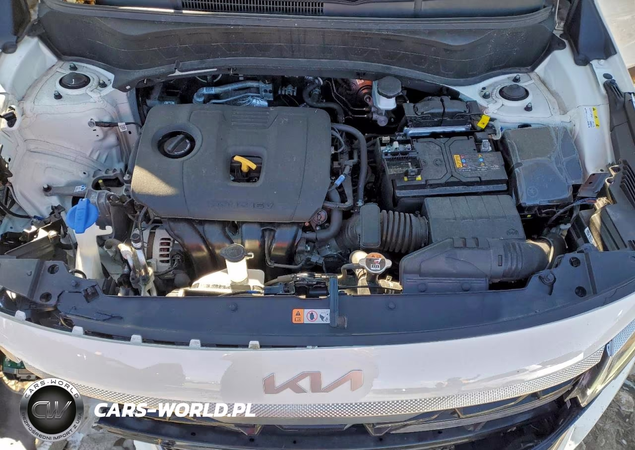 2024 Kia Seltos S VIN:KNDEU2AA6R7567346 - 12