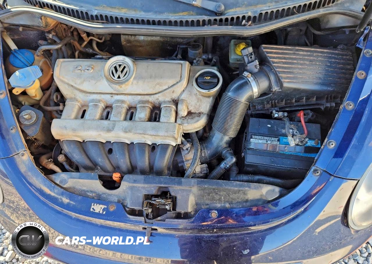 2006 Volkswagen New Beetle 2.5L Option Package 1 VIN:3VWRW31C66M404052 - 11