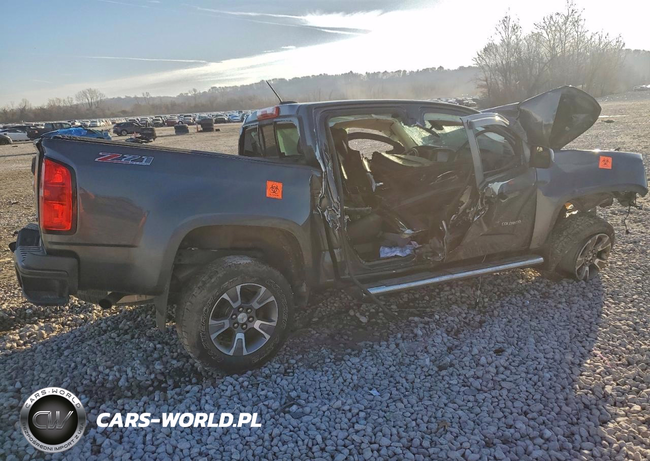 2016 Chevrolet Colorado Z71 VIN:1GCGTDE37G1314300 - 3
