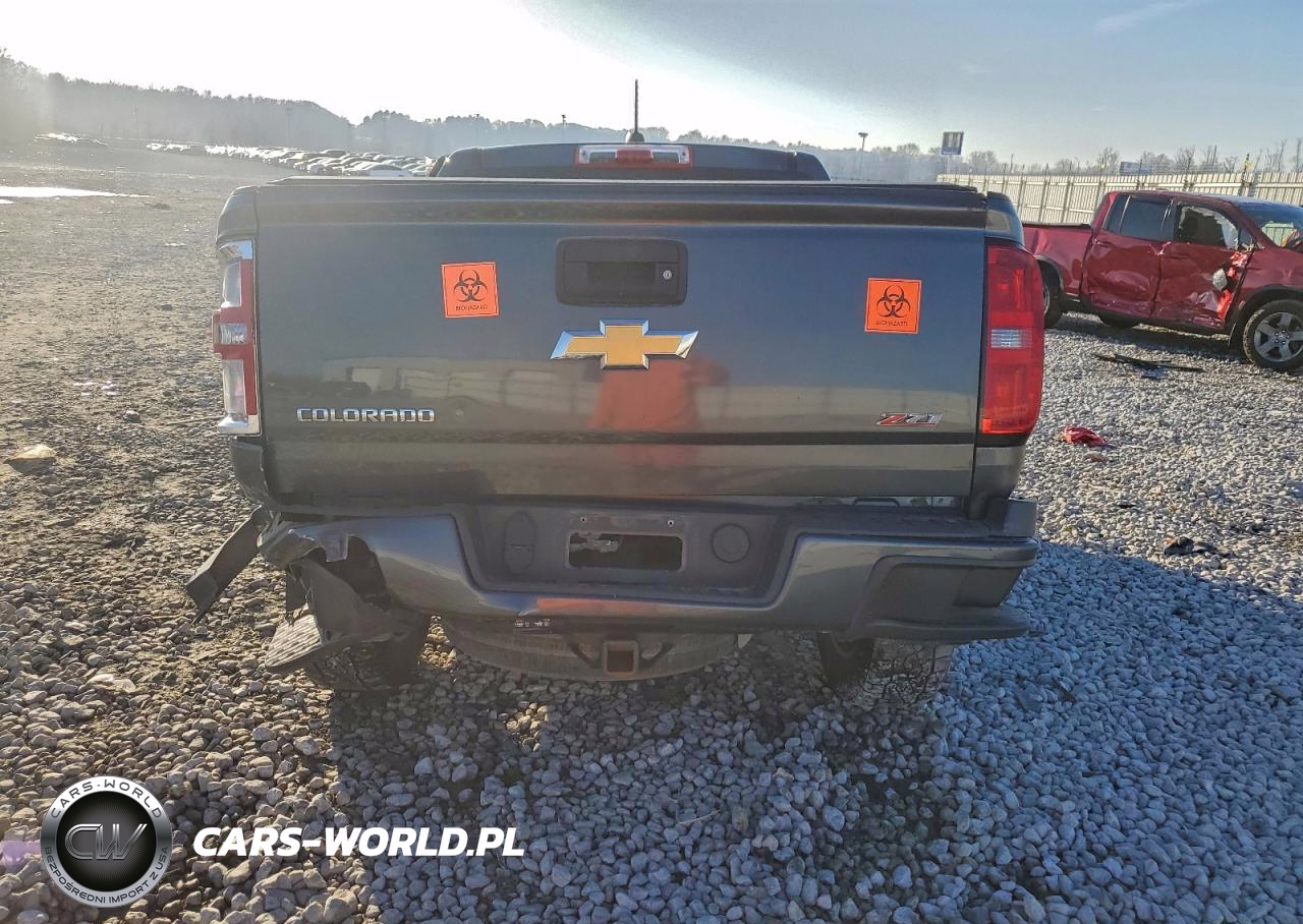 2016 Chevrolet Colorado Z71 VIN:1GCGTDE37G1314300 - 6