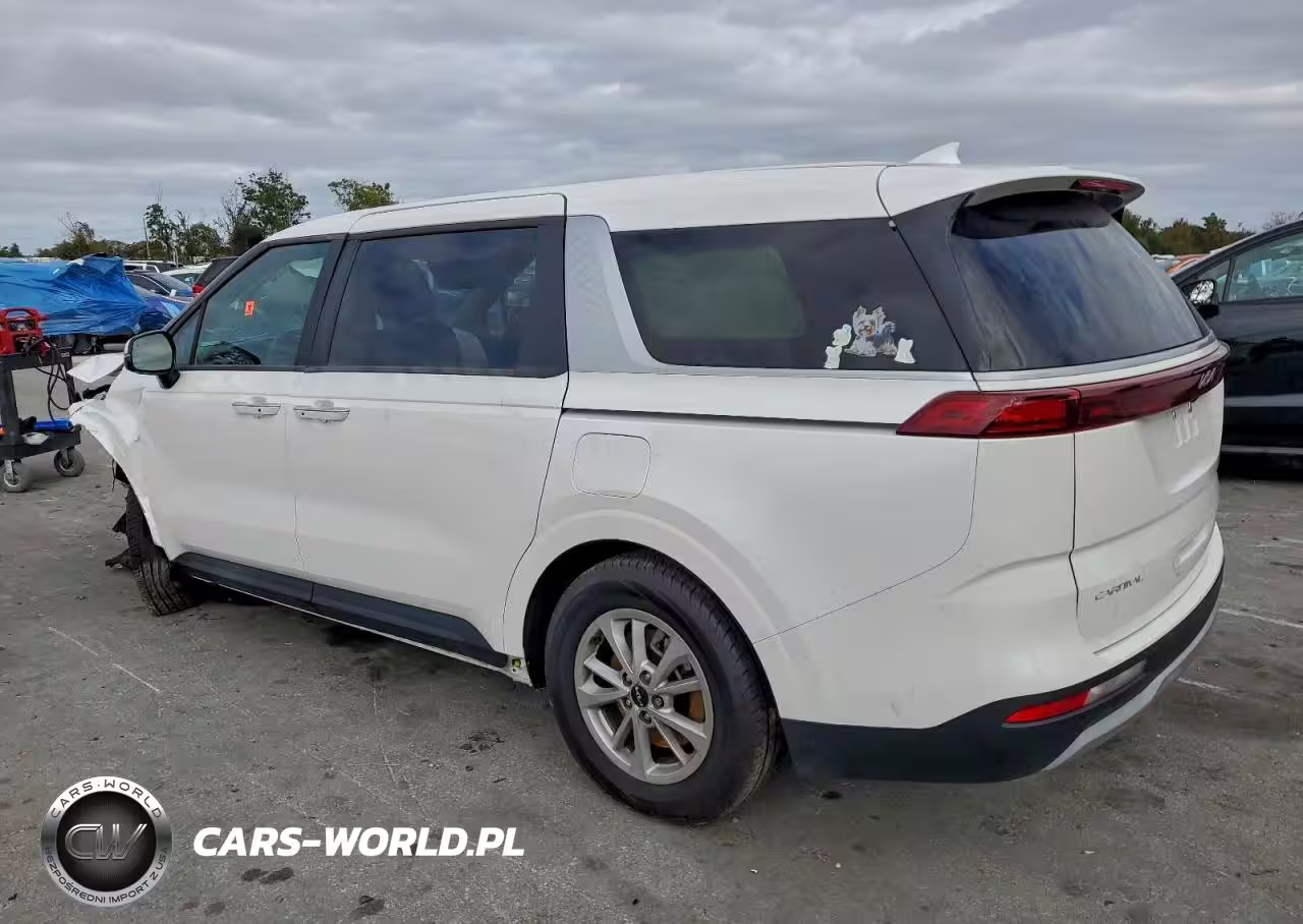 2023 Kia Carnival Lx VIN:KNDNB4H37P6196550 - 2