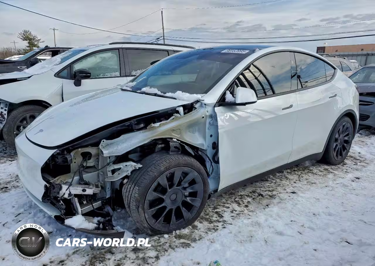 2024 Tesla Model Y