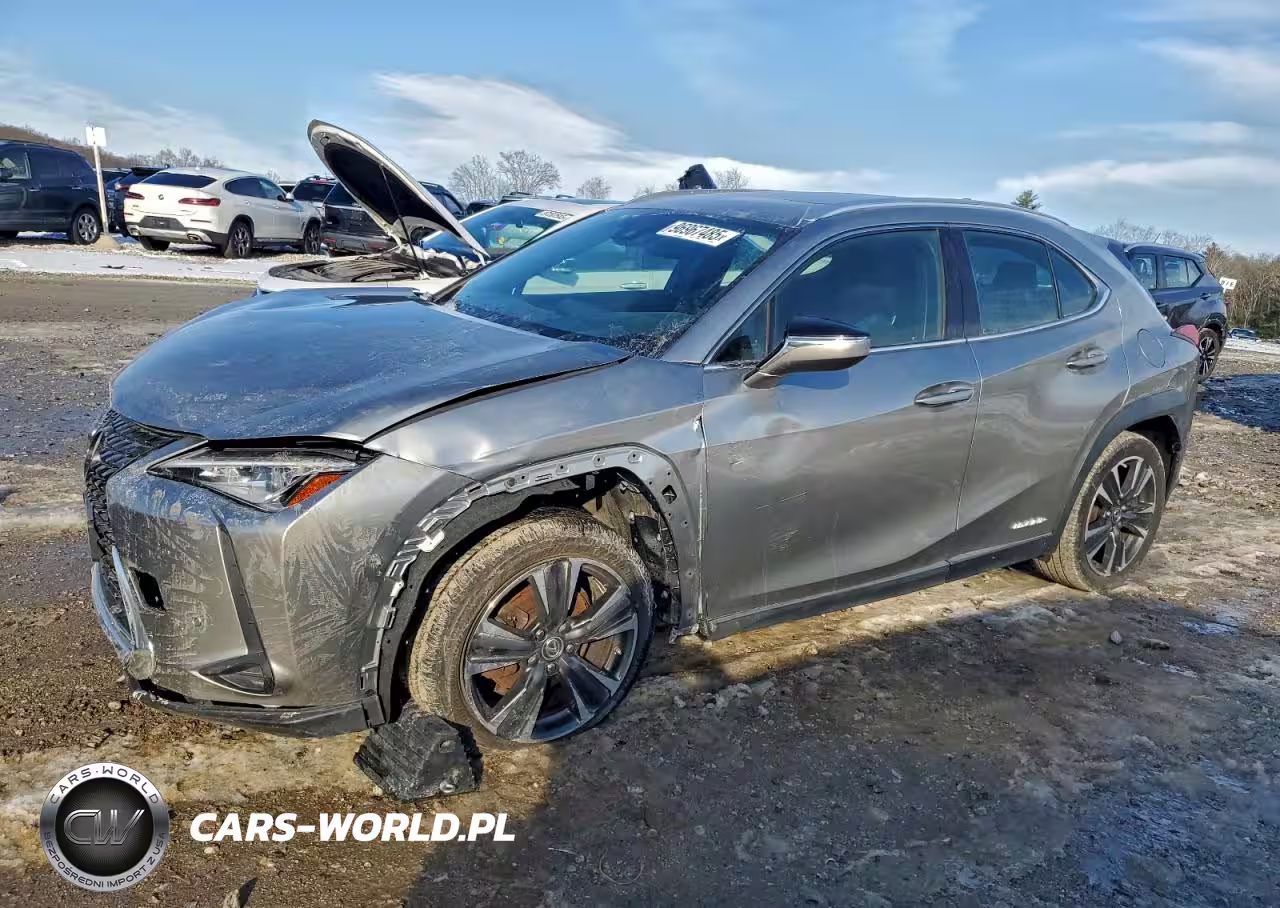2019 Lexus Ux 250H