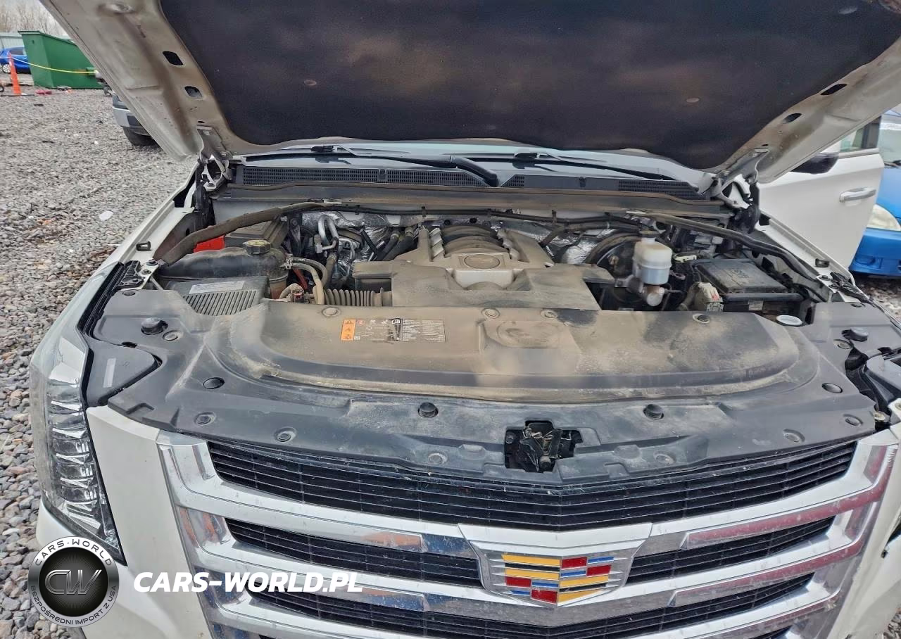 2018 Cadillac Escalade Luxury VIN:1GYS4BKJ1JR103885 - 12