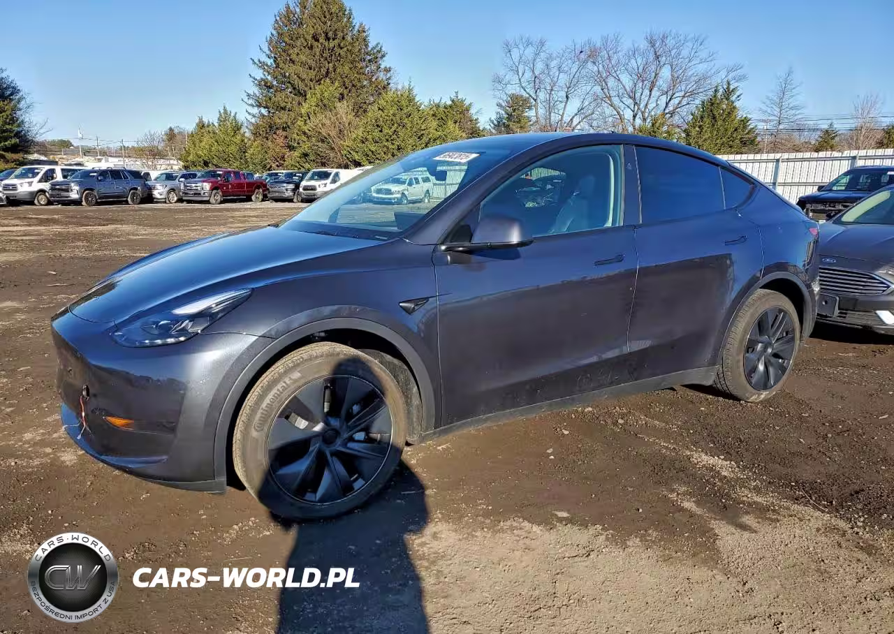 2025 Tesla Model Y
