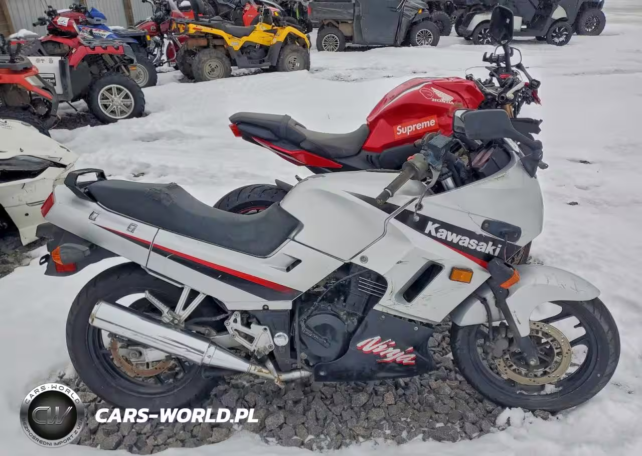 2005 Kawasaki Ex250 F