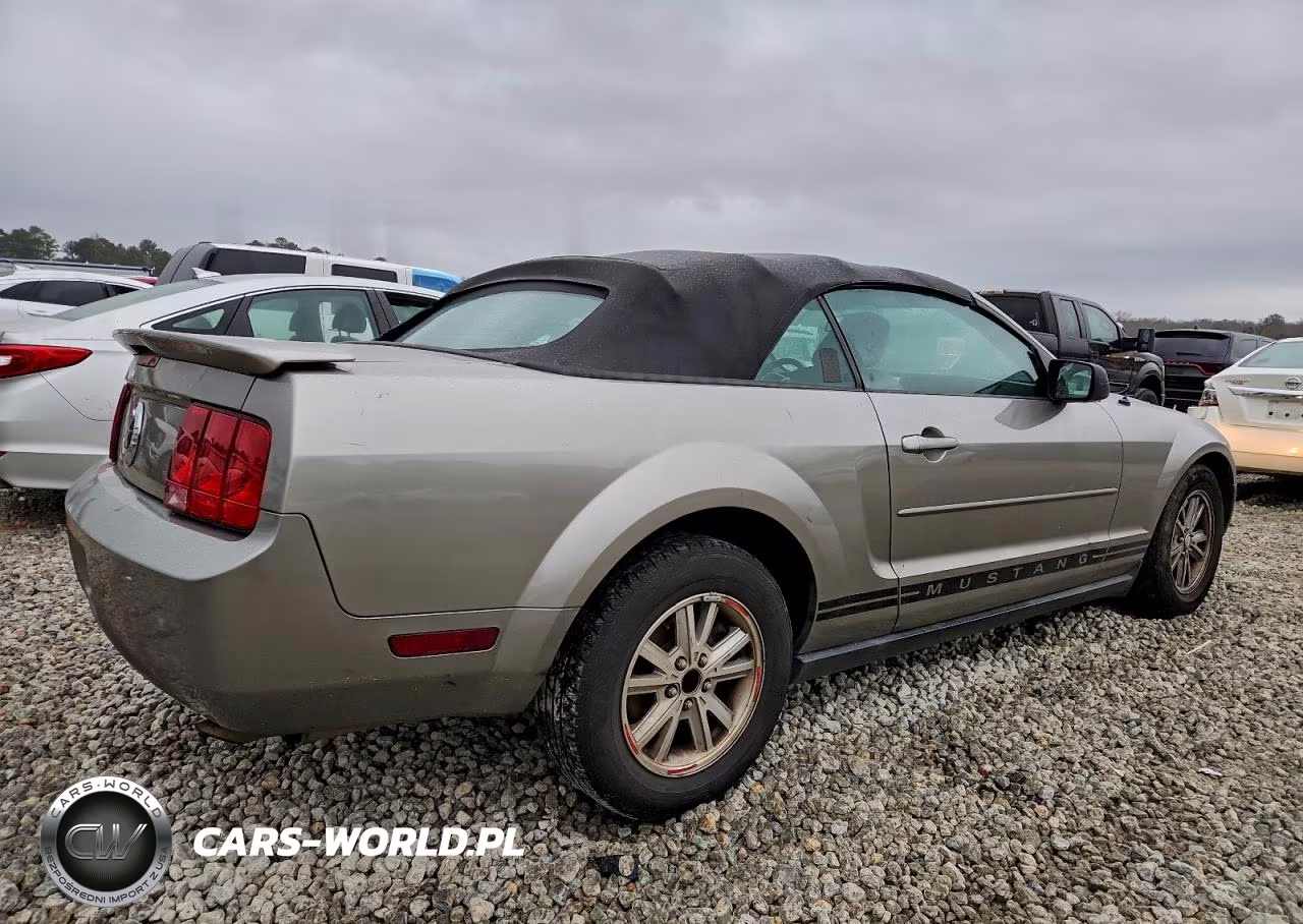 2008 Ford Mustang VIN:1ZVHT84N185178980 - 3