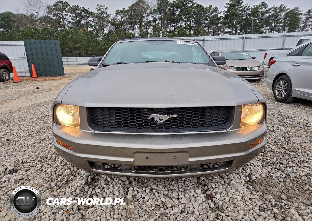 2008 Ford Mustang VIN:1ZVHT84N185178980 - 5