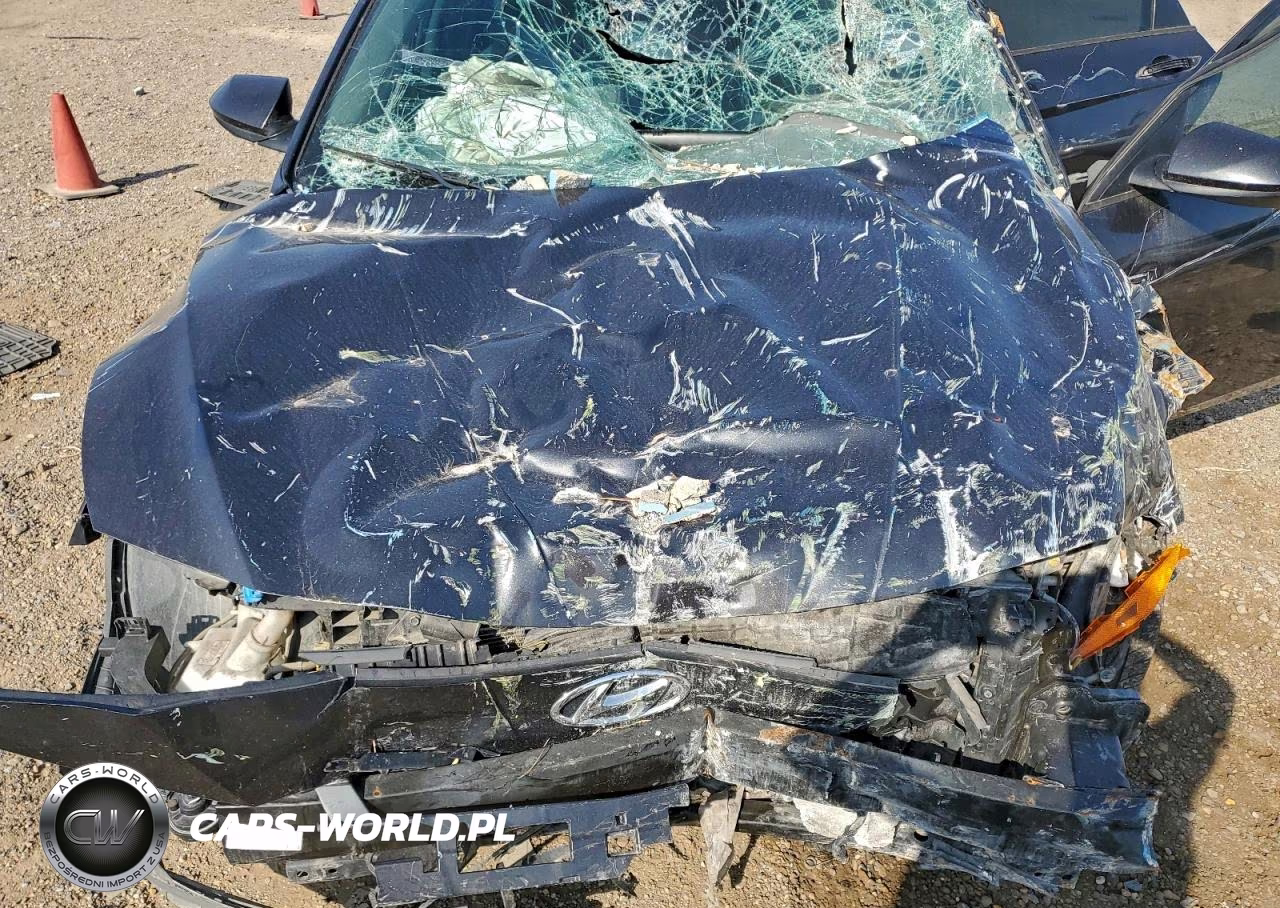 2021 Hyundai Elantra Sel VIN:5NPLM4AG1MH009500 - 11