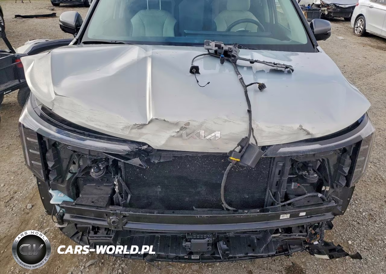 2025 Kia Carnival Sx VIN:KNDNE5K38S6467260 - 12