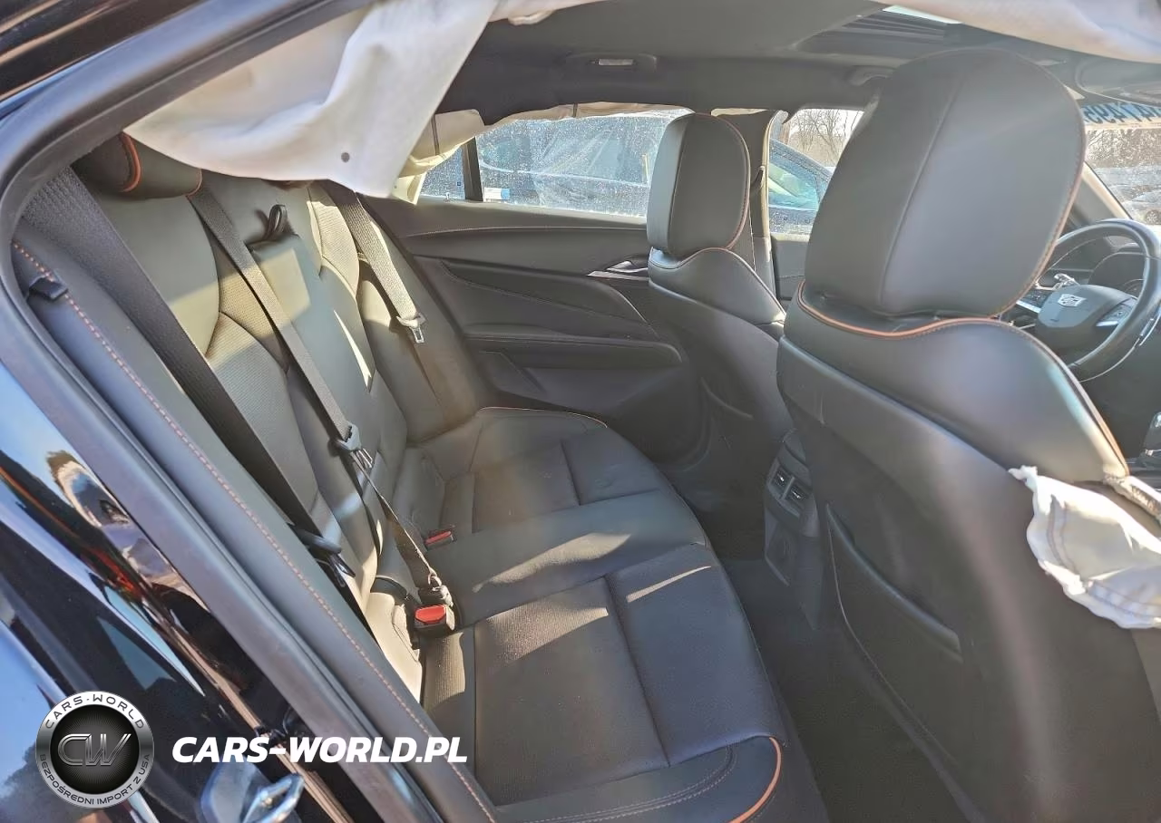 2020 Cadillac Ct4 Sport VIN:1G6DG5RK5L0141765 - 10