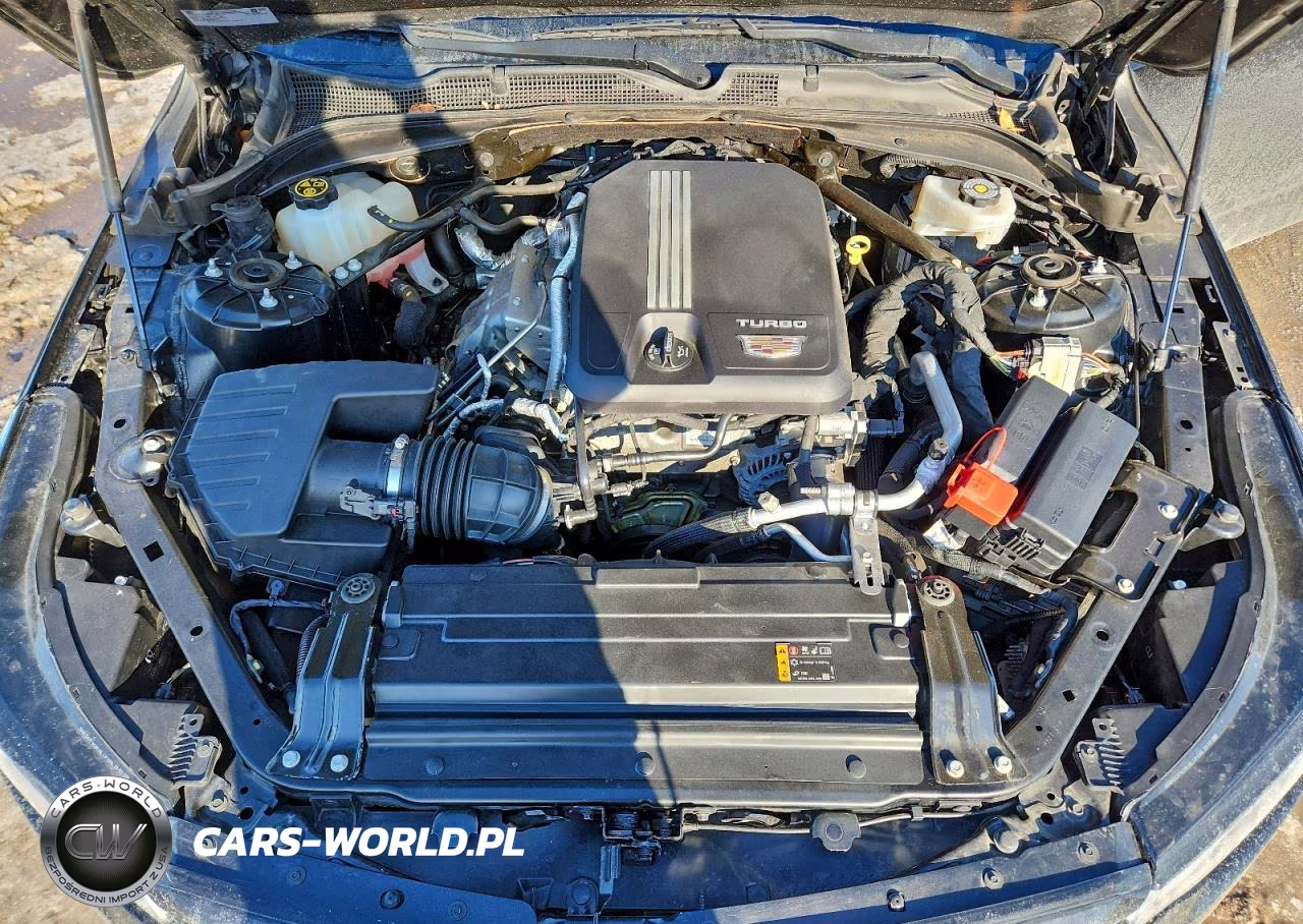 2020 Cadillac Ct4 Sport VIN:1G6DG5RK5L0141765 - 11