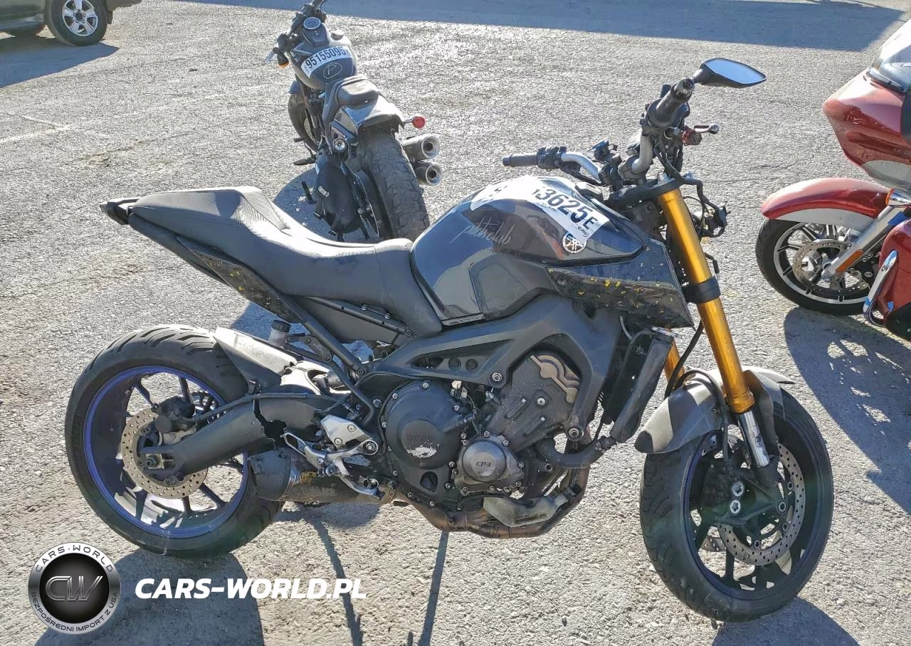 2014 Yamaha Fz09