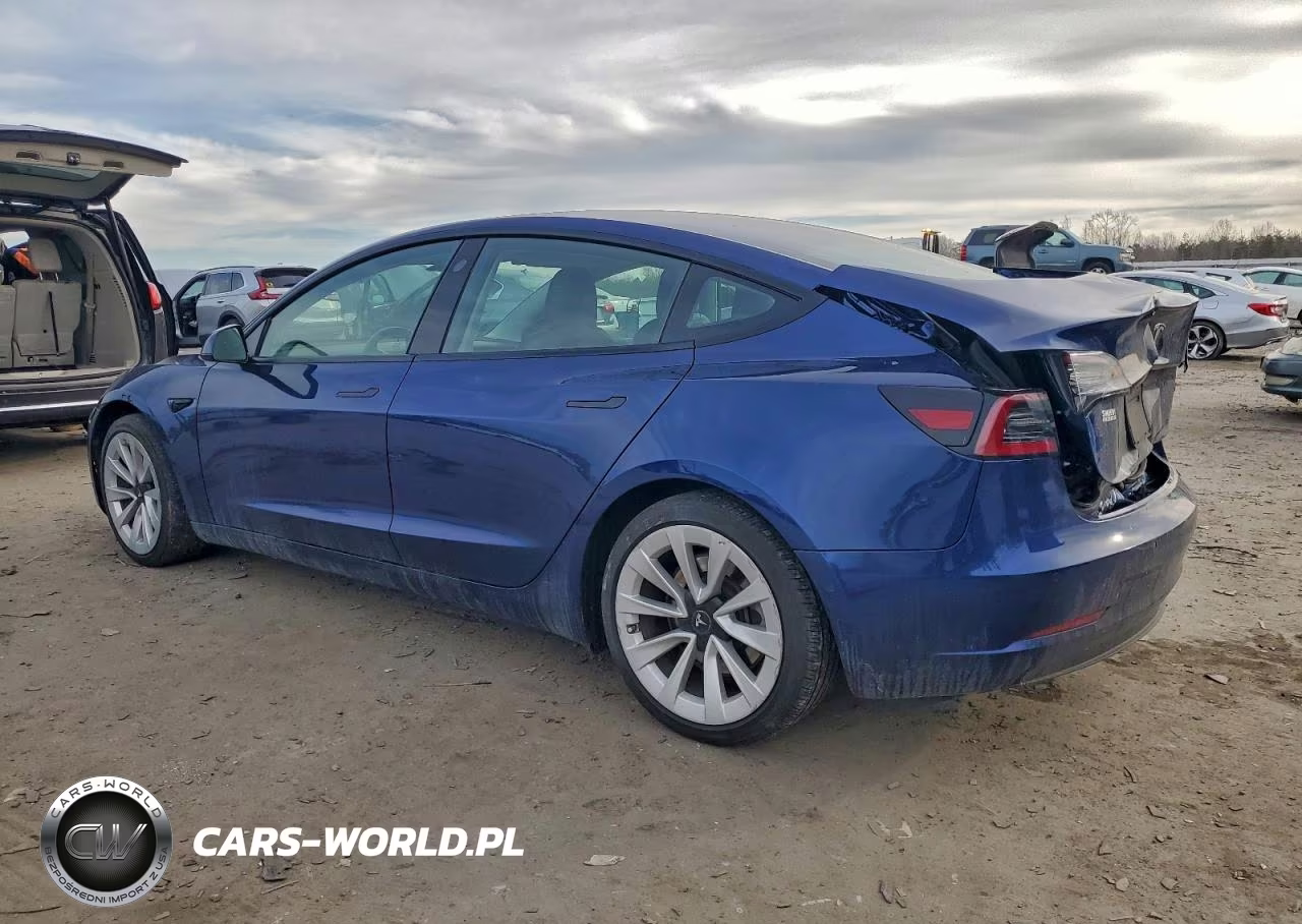 2022 Tesla Model 3 VIN:5YJ3E1EA0NF187366 - 2