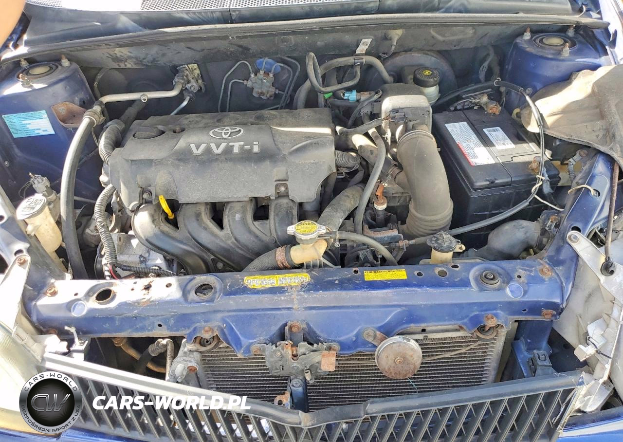 2000 Toyota Echo VIN:JTDBT1231Y0049555 - 11