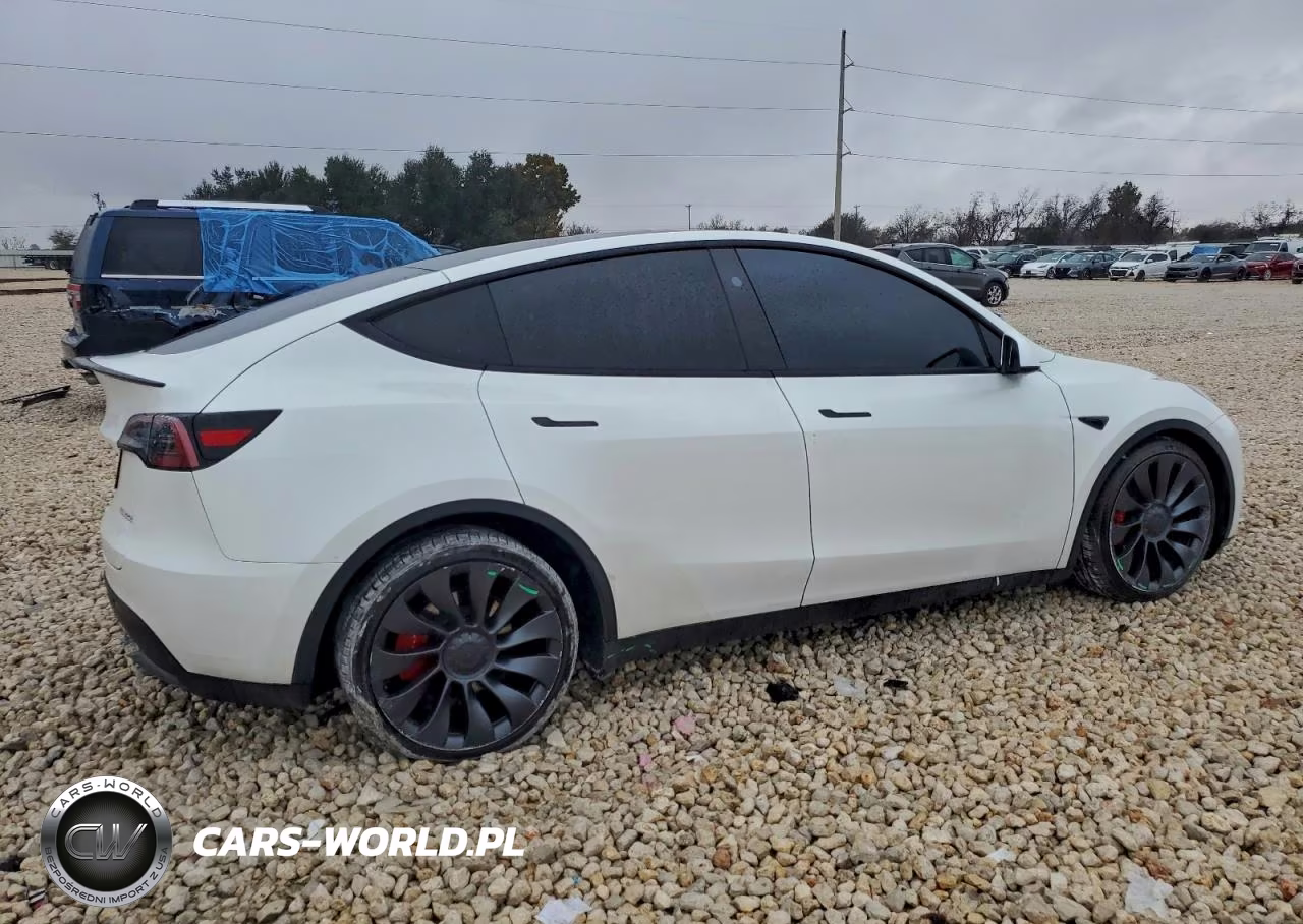 2024 Tesla Model Y VIN:7SAYGDEF1RF042987 - 3
