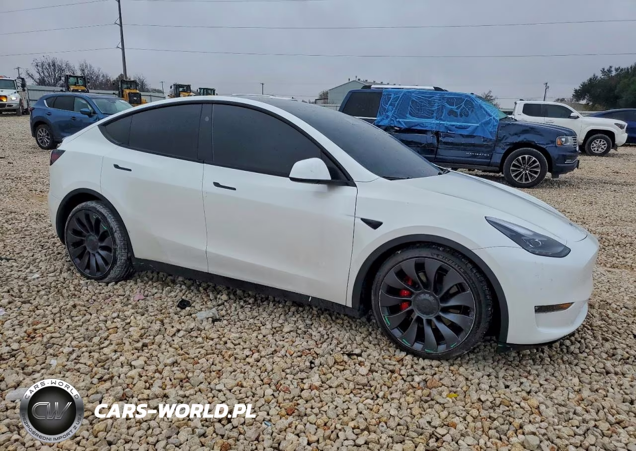 2024 Tesla Model Y VIN:7SAYGDEF1RF042987 - 4