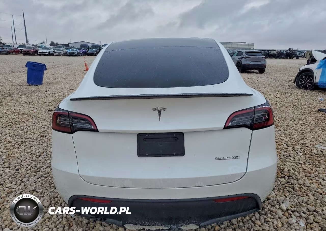 2024 Tesla Model Y VIN:7SAYGDEF1RF042987 - 6