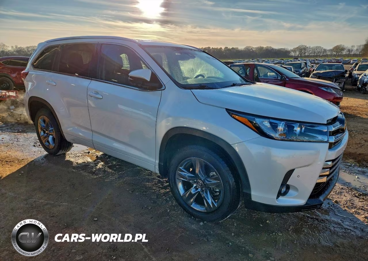 2019 Toyota Highlander Limited Platinum VIN:5TDYZRFH3KS340625 - 4