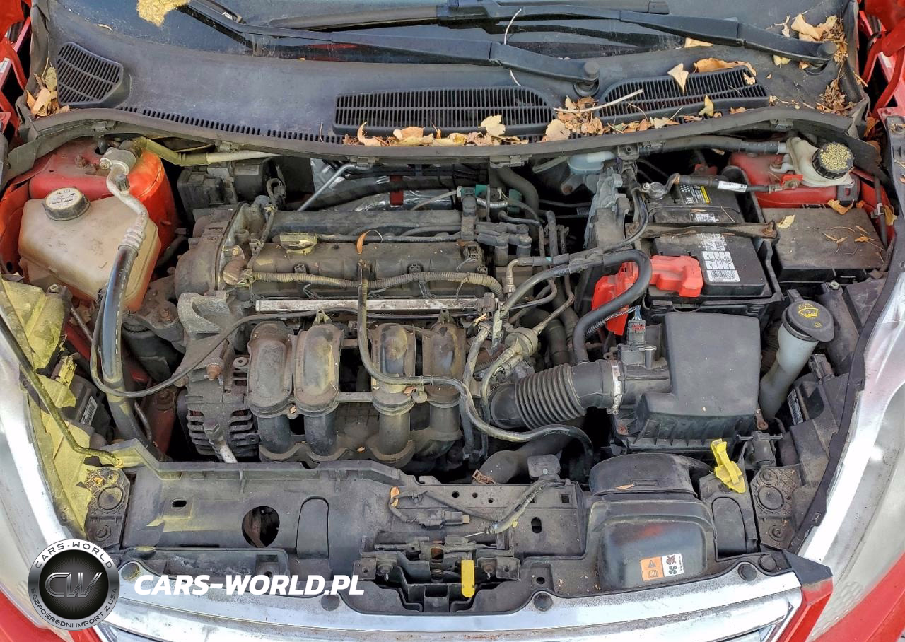 2013 Ford Fiesta Se VIN:3FADP4BJ5DM132206 - 11