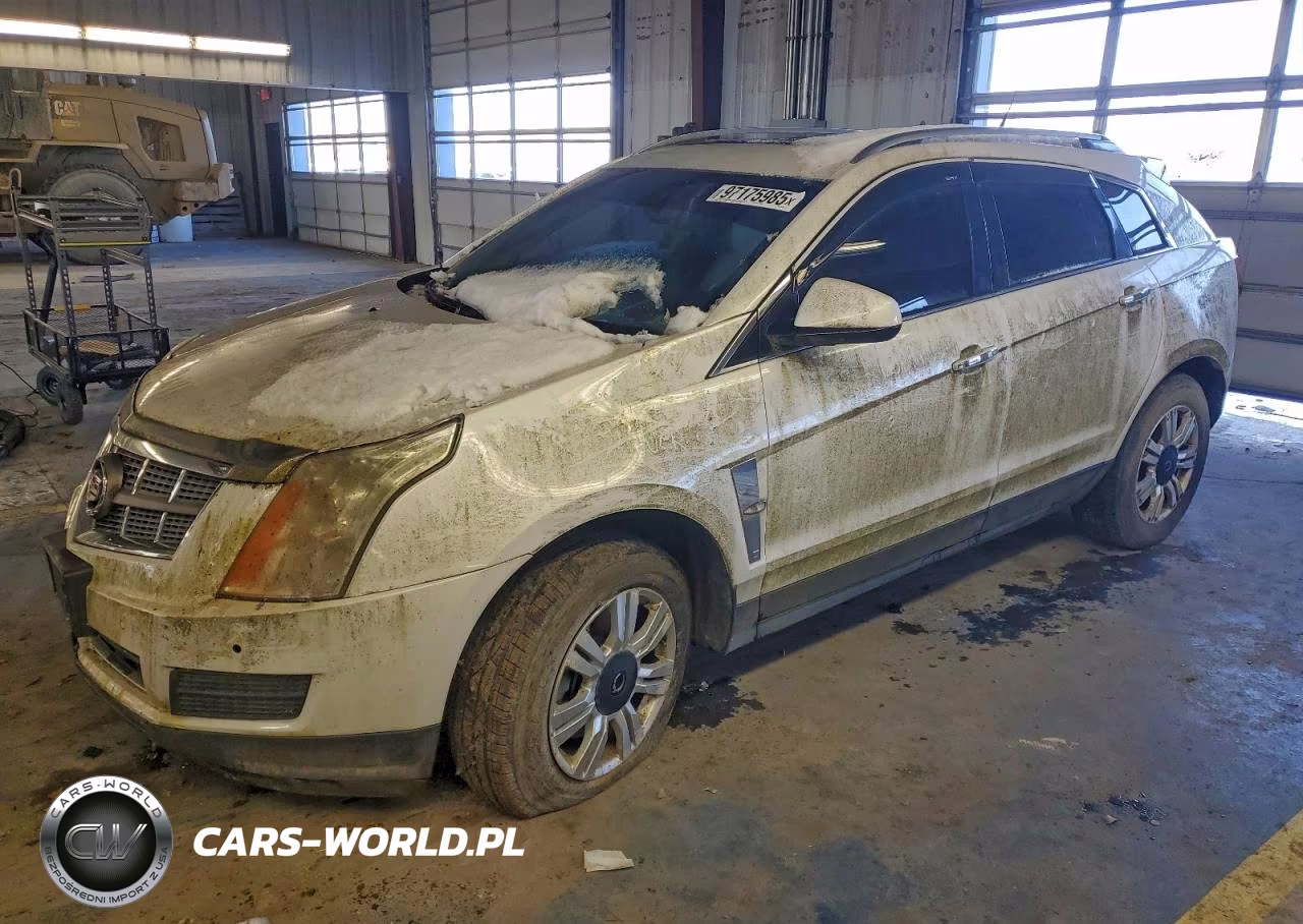 2011 Cadillac Srx Luxury Collection VIN:3GYFNAEY1BS565444 - 1